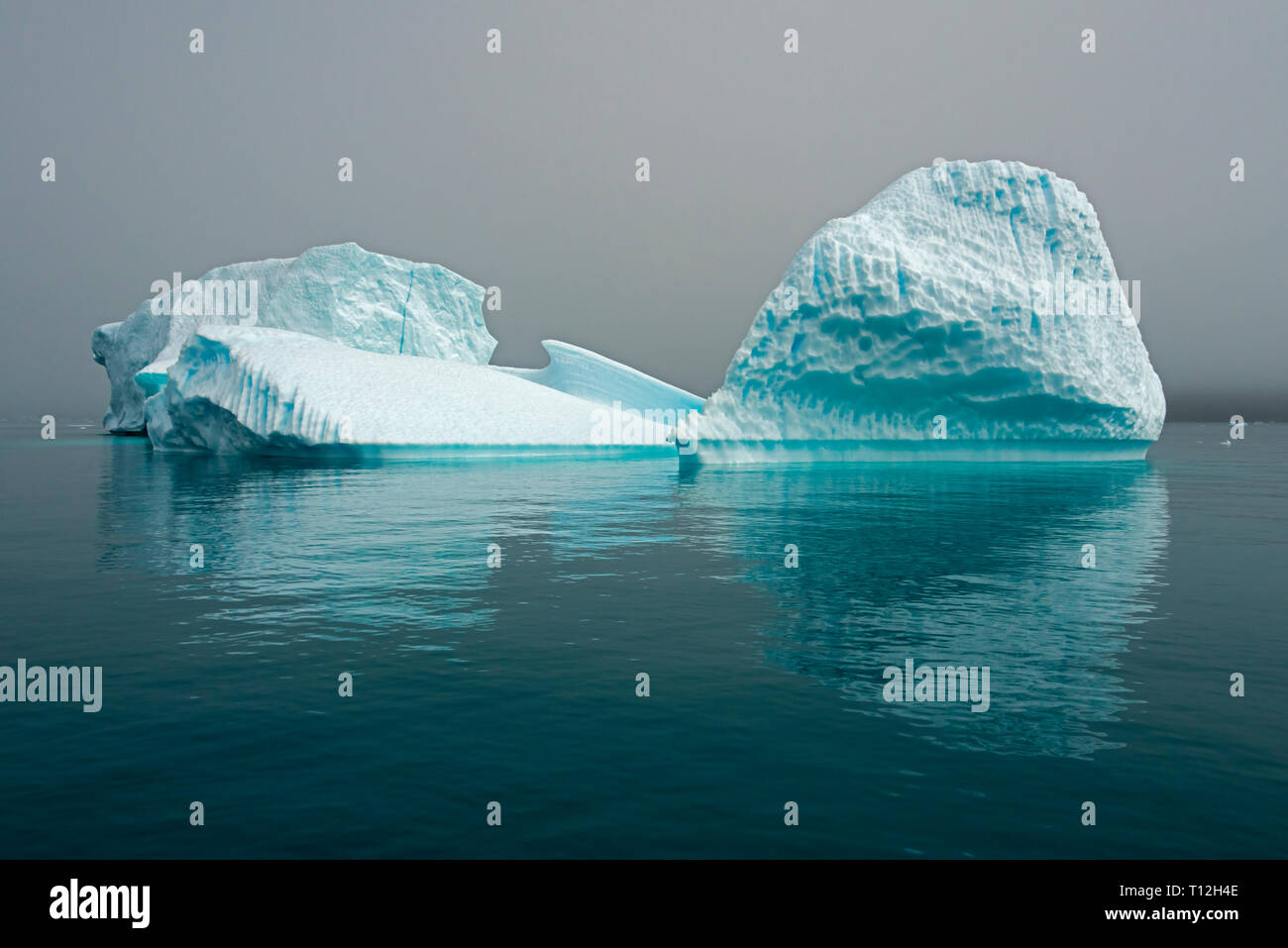 Blue iceberg dans le fjord de Narsarsuaq, Groenland Banque D'Images