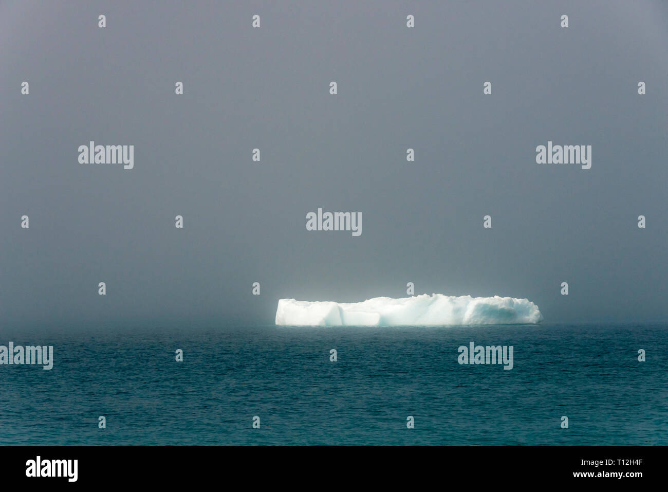 La glace bleue flottant dans le fjord de Narsarsuaq, Groenland Banque D'Images