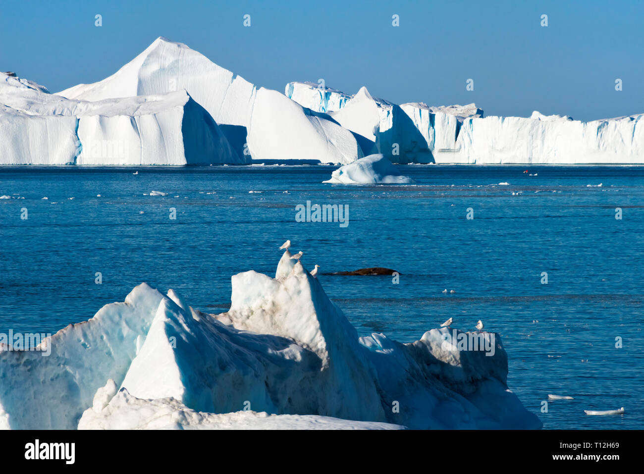 Iceberg flottant à Ilulissat, Groenland Banque D'Images