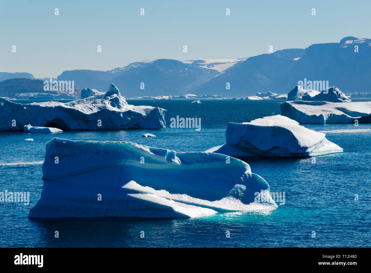 La glace flottante à Uummannaq Fjord, Groenland Banque D'Images