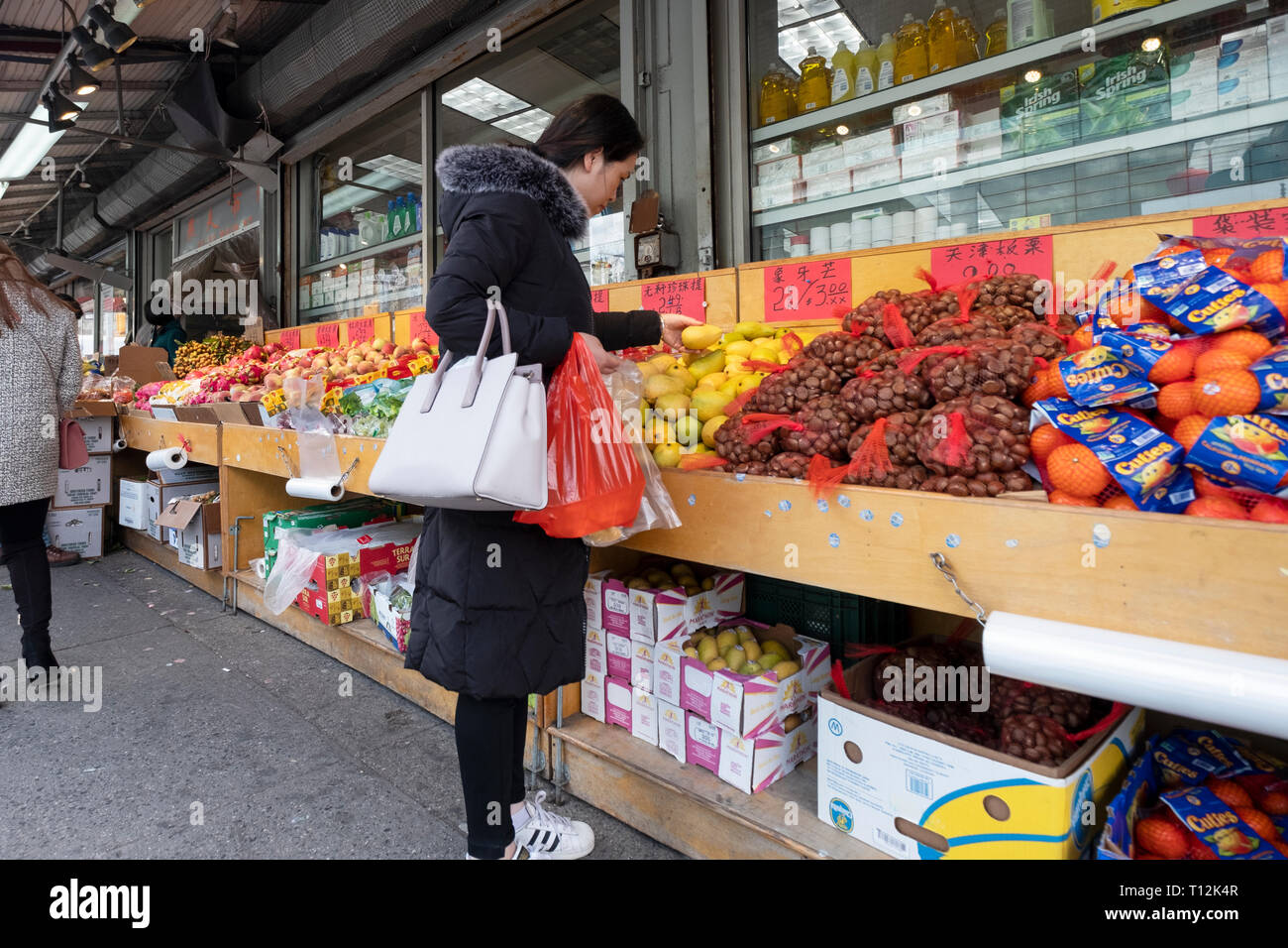 Une jeune femme chinoise pour boutiques fruits & légumes sur un après-midi d'hiver. Dans le quartier chinois, le rinçage, Queens, New York. Banque D'Images