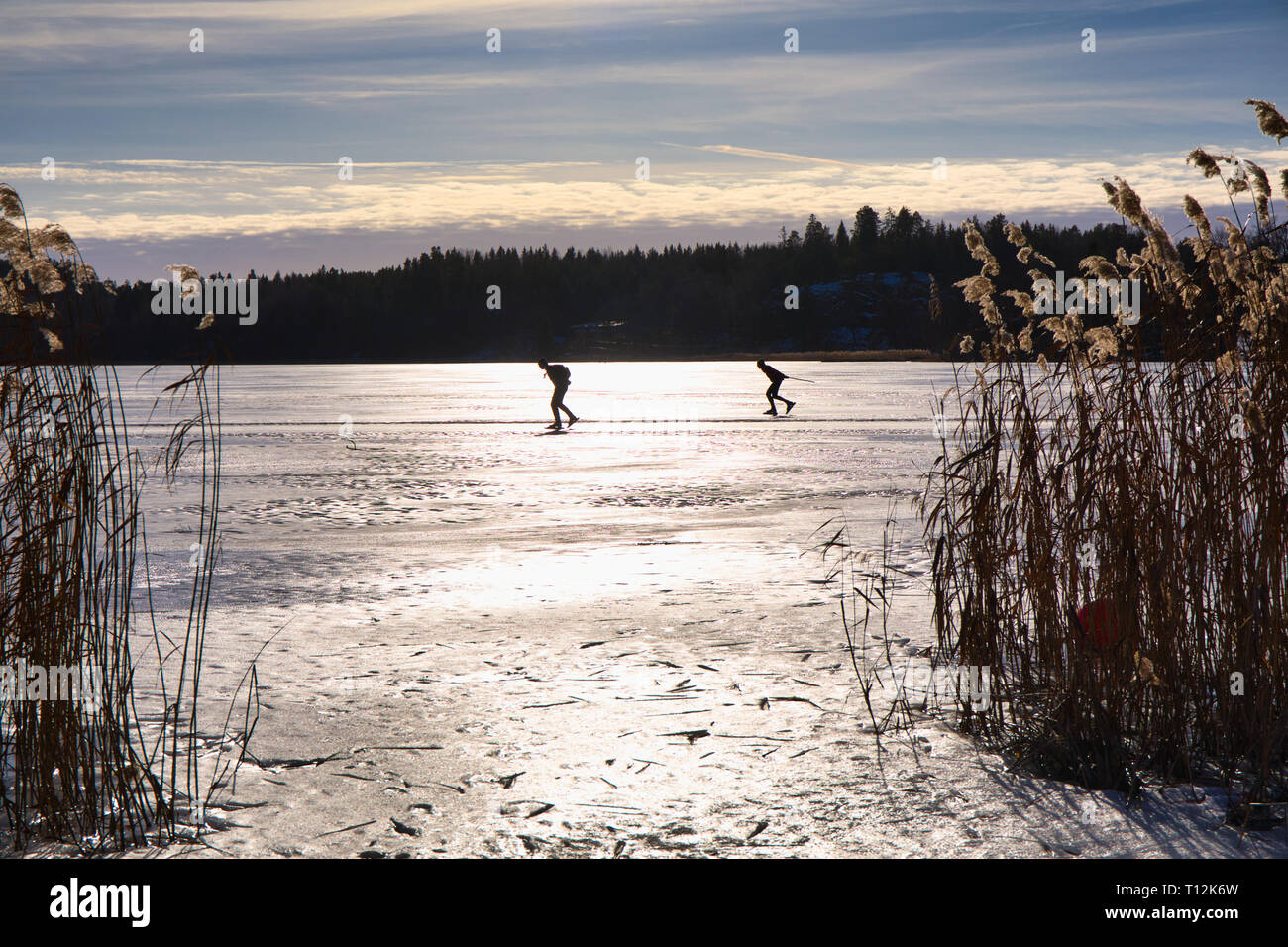 Deux patineurs sur glace longue distance se découpant sur le lac Malaren, Suède, Scandinavie Banque D'Images