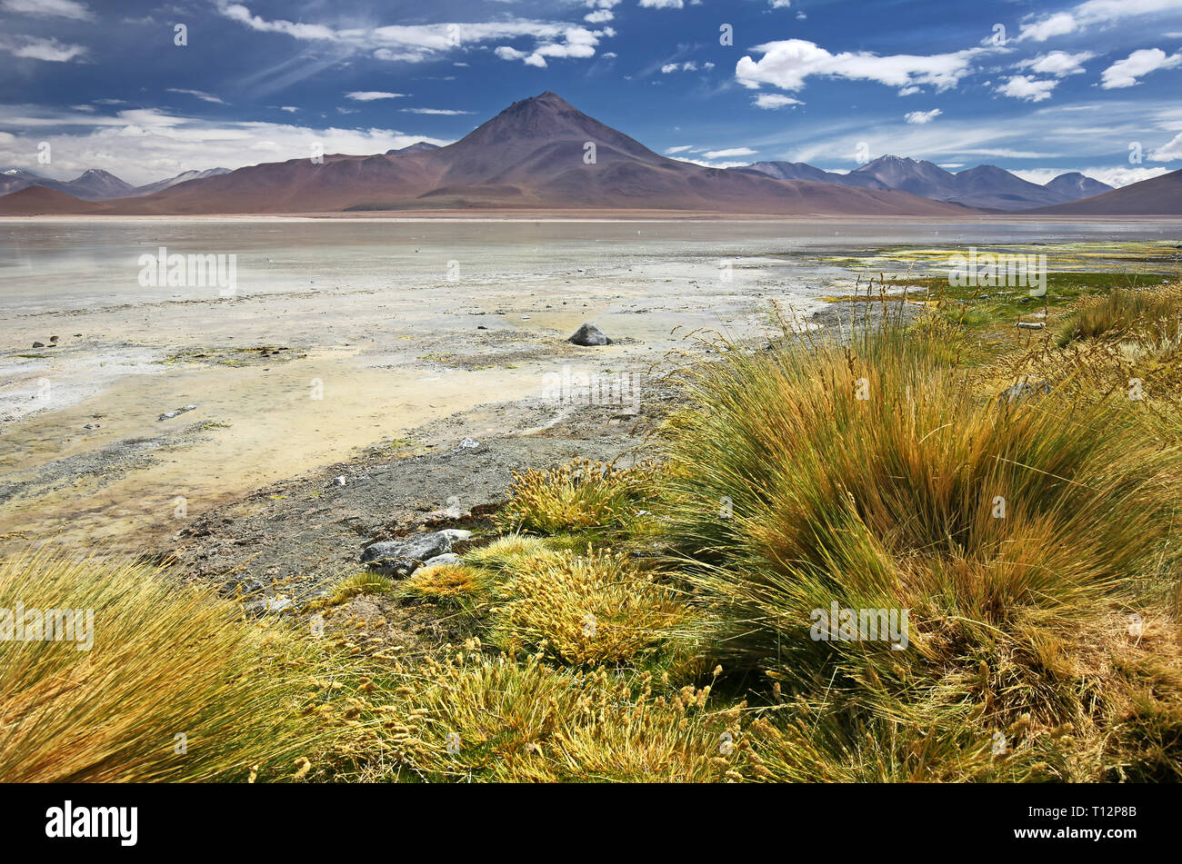 Laguna Blanca - désert Siloli (Bolivie) Banque D'Images