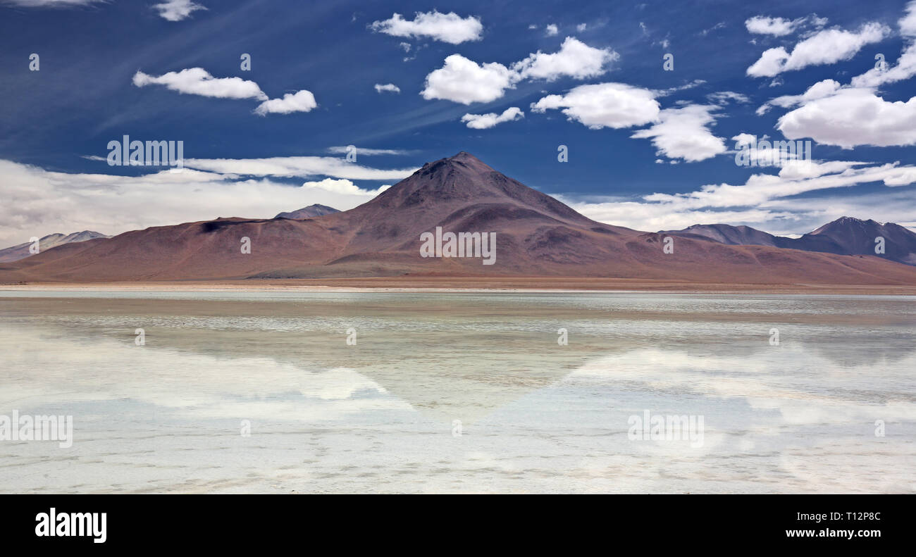 Vue panoramique de Laguna Blanca - désert Siloli (Bolivie) Banque D'Images