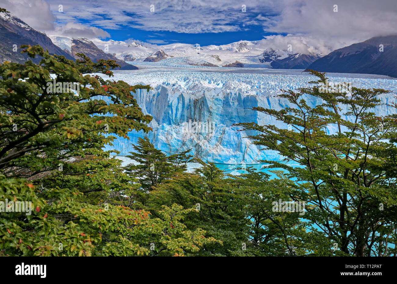 Parco Nazionale Los Glaciares Banque De Photographies Et D images Parco Nazionale Los Glaciares Banque De Photographies Et D images