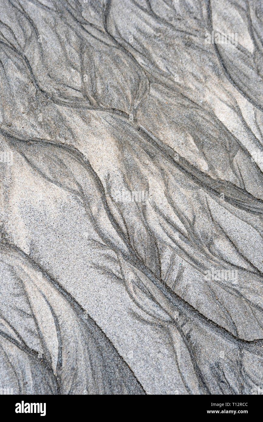 Écoulements de sable liquide sédimentaire/, l'eau de type Mars stries fluviales sur une plage marémotrice. Pour « aller avec le flux », mouvement, paysage comme Mars Banque D'Images