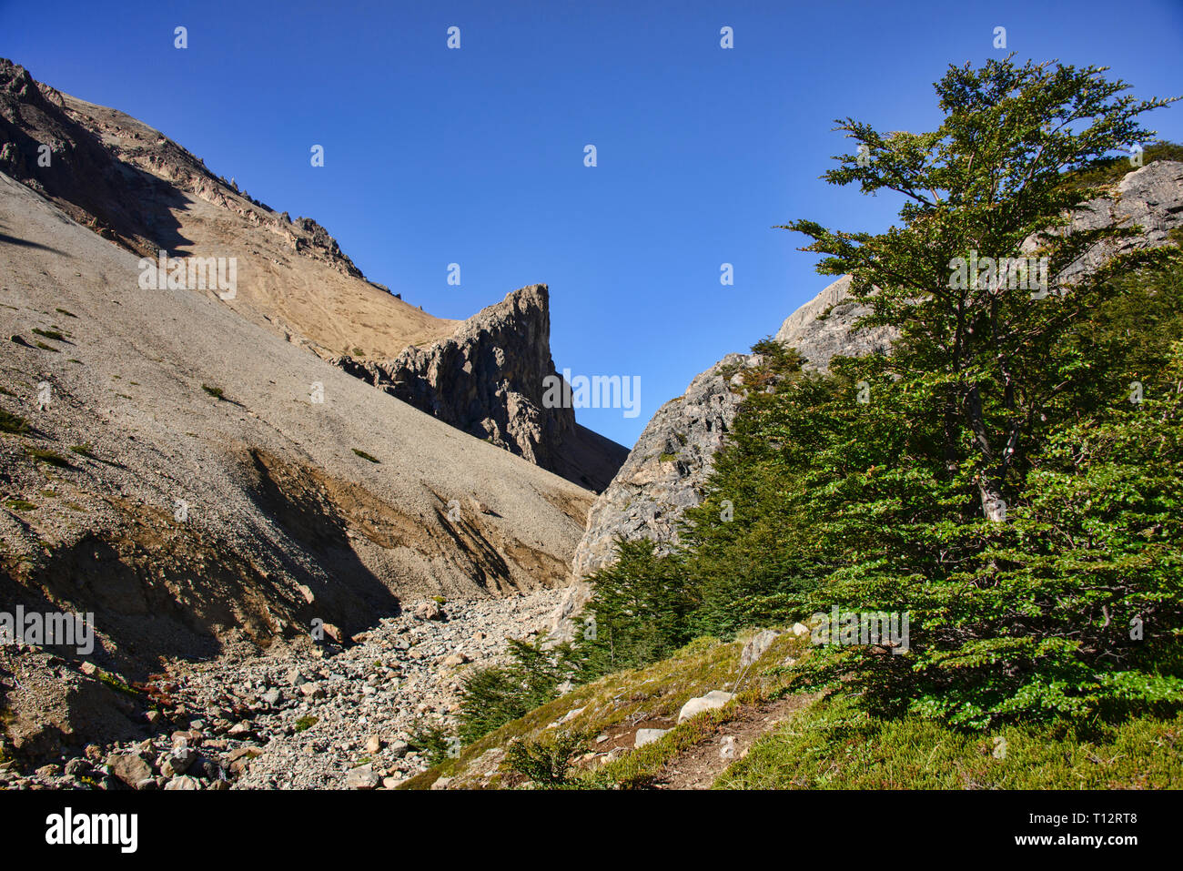 Paysages de montagne épique dans la magnifique réserve de Cerro Castillo, d'Aysen, en Patagonie, au Chili Banque D'Images