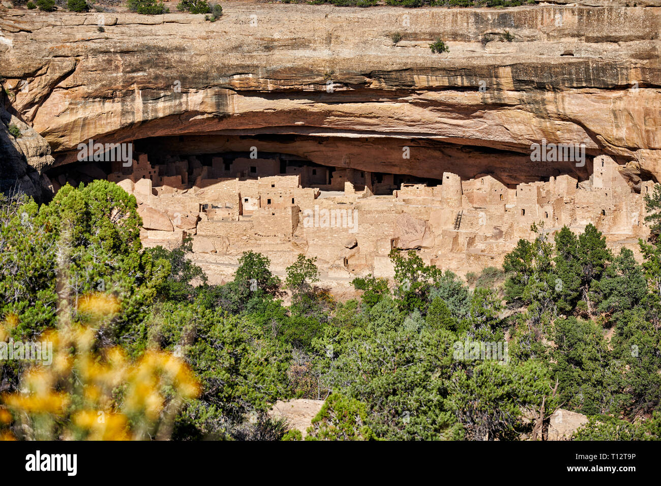 Cliff Palace, Cliff dwellings in Mesa-Verde-National Park, UNESCO World Heritage site, Colorado, USA, Amérique du Nord Banque D'Images