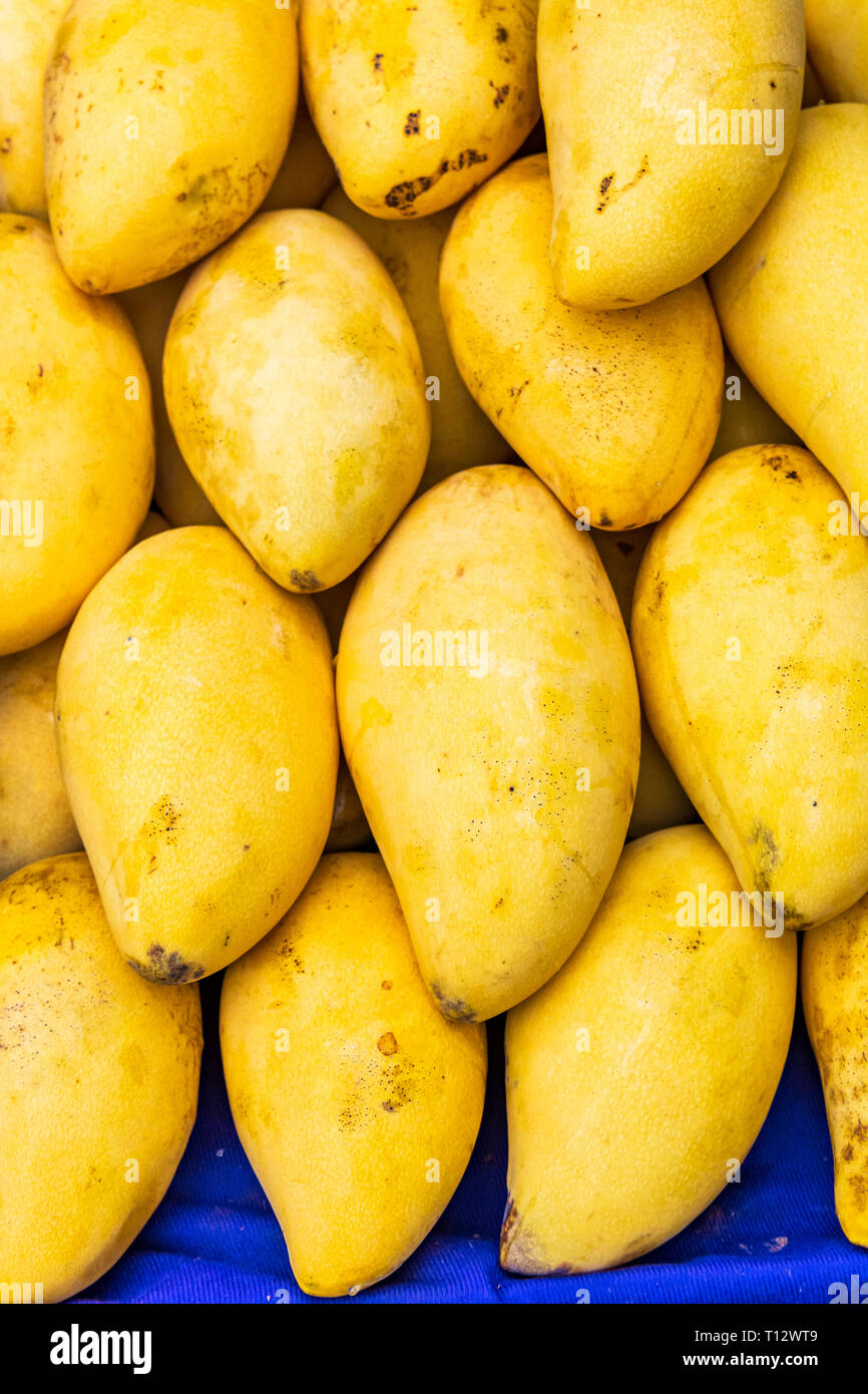 Krabi, Thaïlande : mangue jaune affiché sur un tableau du marché à un jour de marché. Banque D'Images