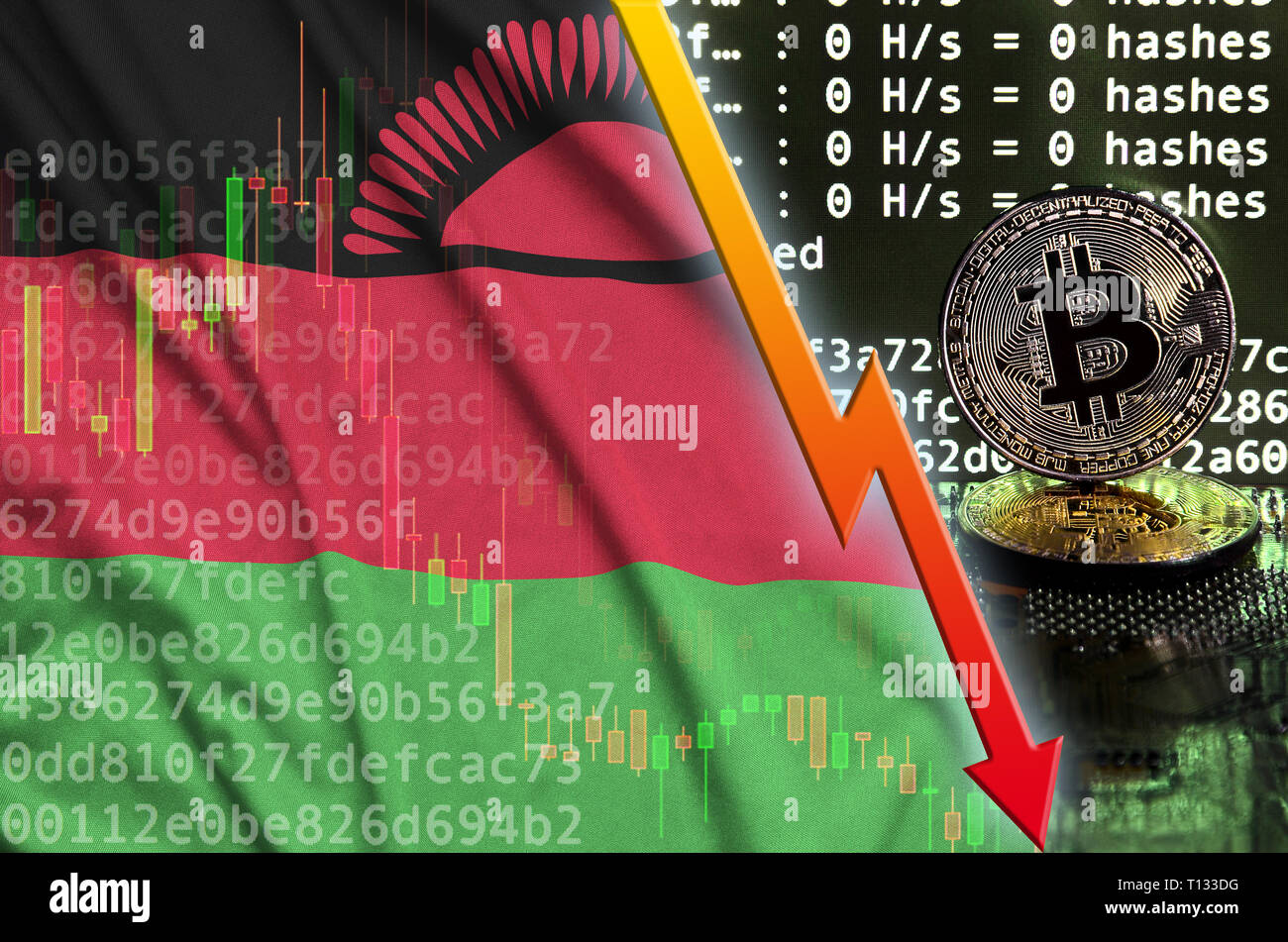 Malawi drapeau et tomber flèche rouge sur l'écran d'exploitation minière bitcoin et deux d'or physique des bitcoins. Concept de conversion faible dans cryptocurrency mining Banque D'Images