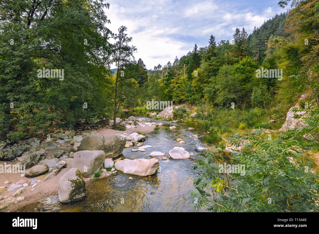 Rivière à travers le nord de la Forêt Noire, en Allemagne, la rivière et la vallée de la Murg Murg, près de Forbach Banque D'Images