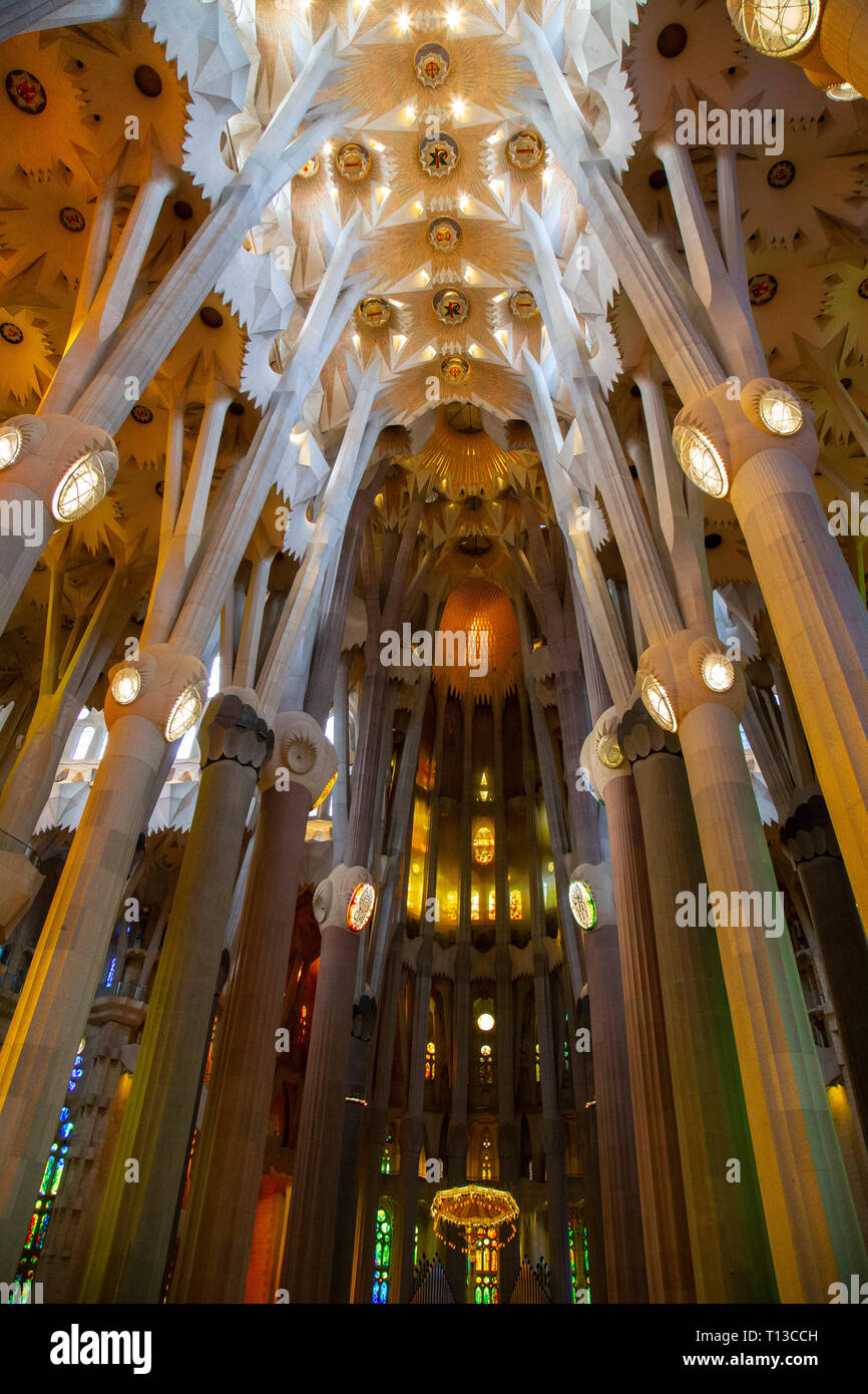 L'intérieur de la Sagrada Familia, le chef-d'œuvre de l'architecte Antoni Gaudi et "marque" de Barcelone, Catalogne, Espagne. Banque D'Images