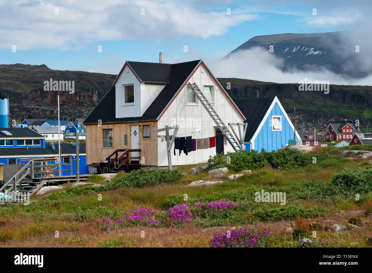 Maisons peintes de couleurs vives, Qeqertarsuaq, Groenland Banque D'Images