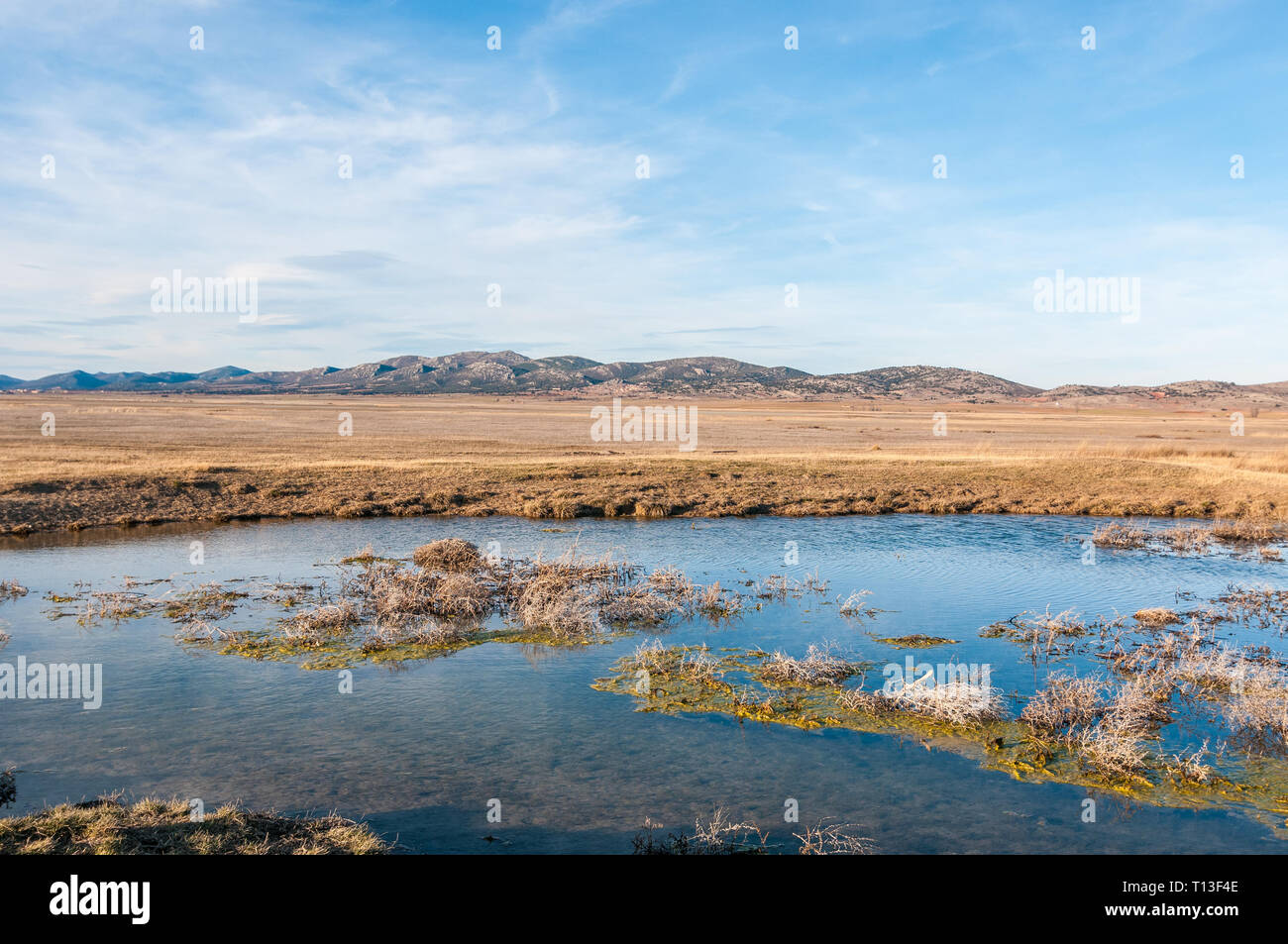 Paysage de la lagune de Gallocanta, parc naturel, Bello, Aragon, Espagne Banque D'Images