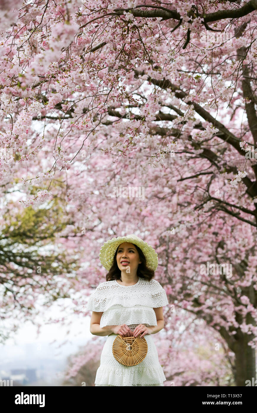 Londres, Royaume-Uni. Mar 22, 2019. Une femme vu en face de la floraison des cerisiers dans un parc du nord de Londres. Credit : Dinendra Haria SOPA/Images/ZUMA/Alamy Fil Live News Banque D'Images
