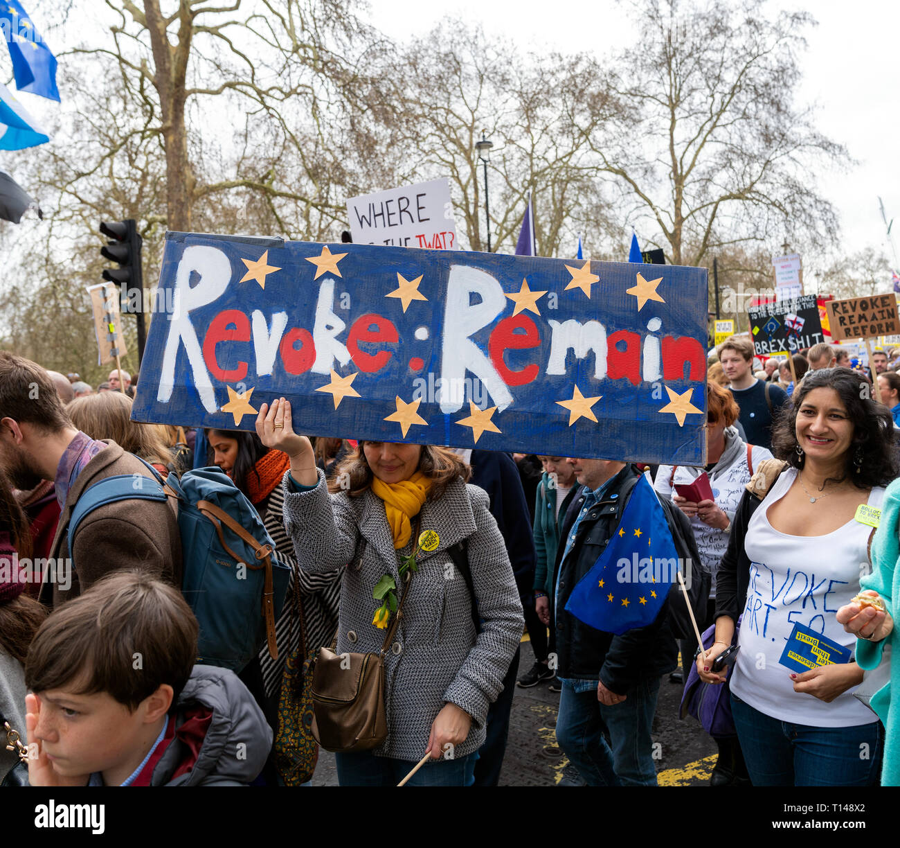 Londres, Royaume-Uni. 23 mars 2019. Des milliers de personnes viennent à une manifestation appelant à un deuxième référendum sur la sortie de la Grande-Bretagne de l'Union européenne, connue sous le nom de Brexit. Banque D'Images