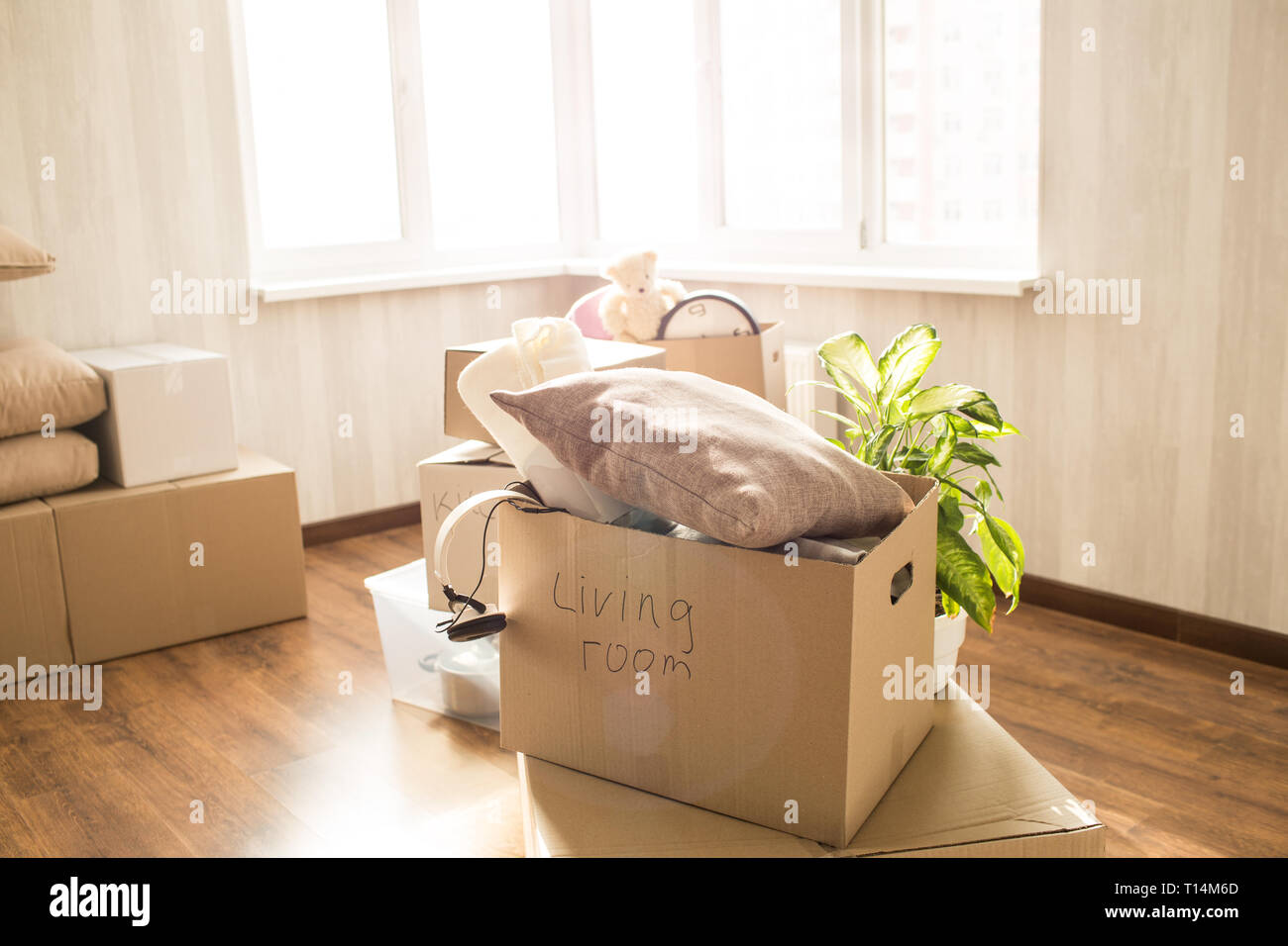Photo de trop plein (fort. Il y a des vêtements différents, plein de trucs et d'autres choses. Ces aussi est une plante domestique vert derrière la boîte. Ces choses Banque D'Images