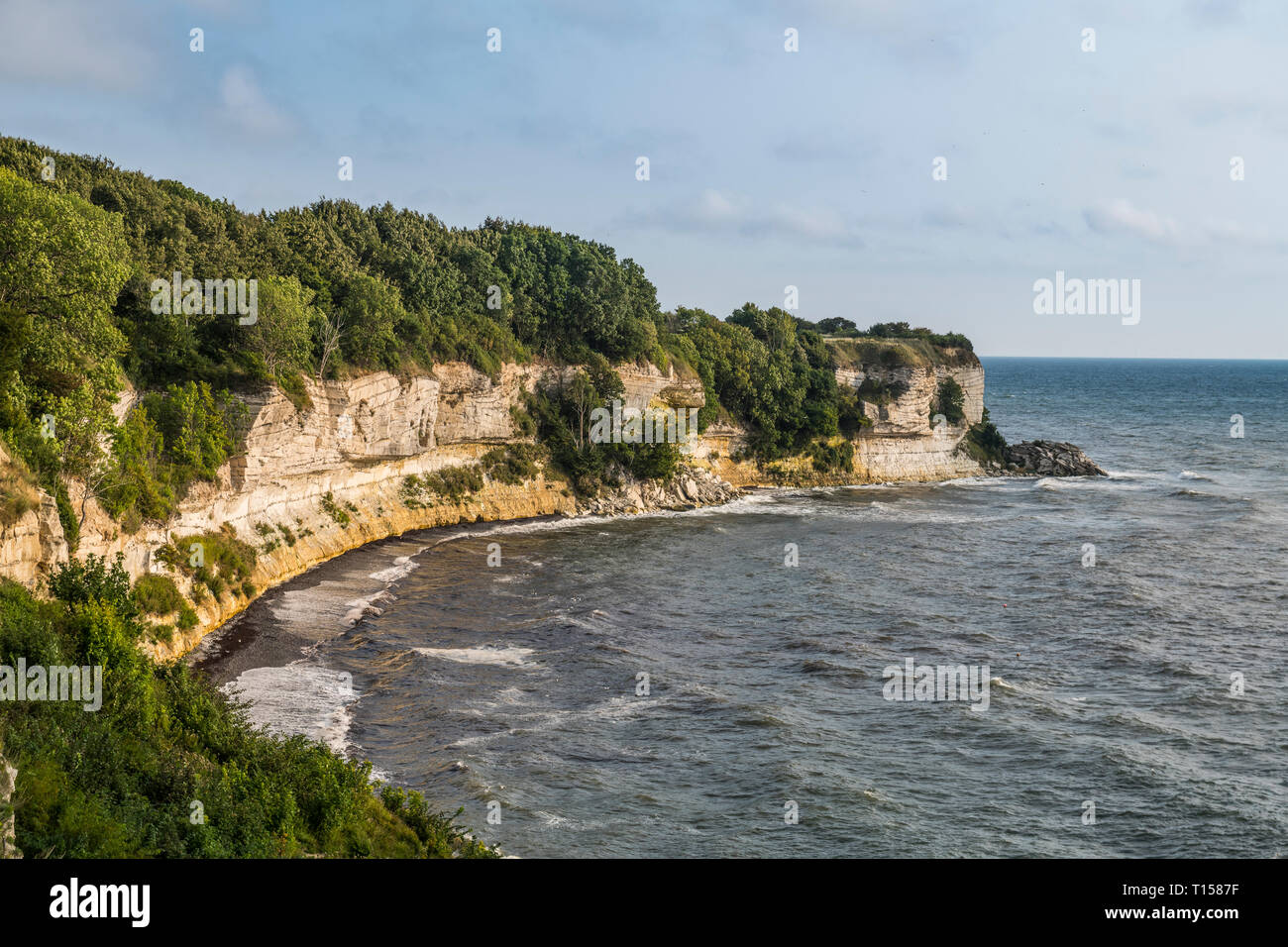 Le Danemark, la Nouvelle-Zélande, de Stevns Klint, falaise de craie blanche Banque D'Images