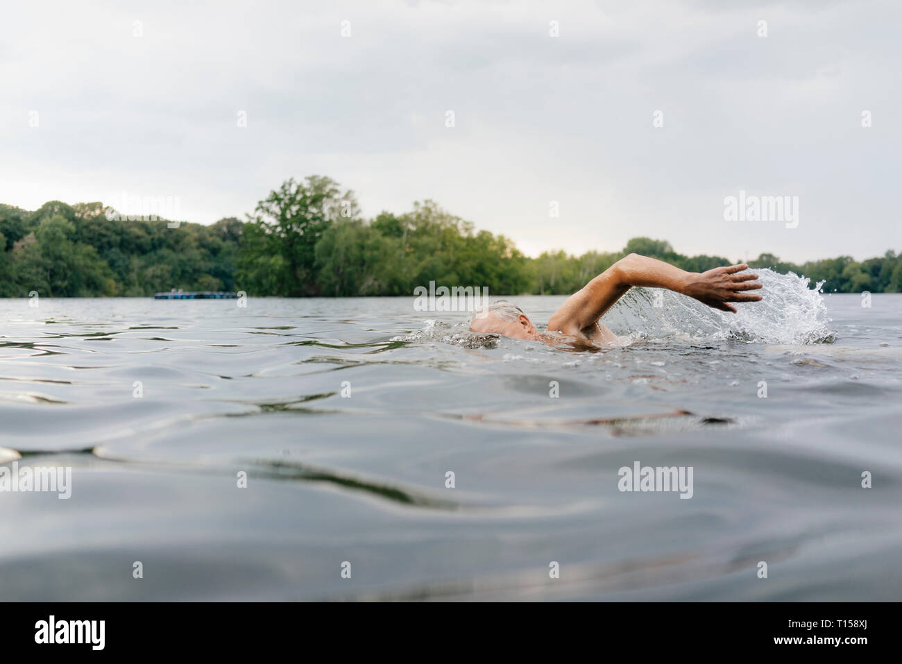 Senior man swimming in a lake Banque D'Images