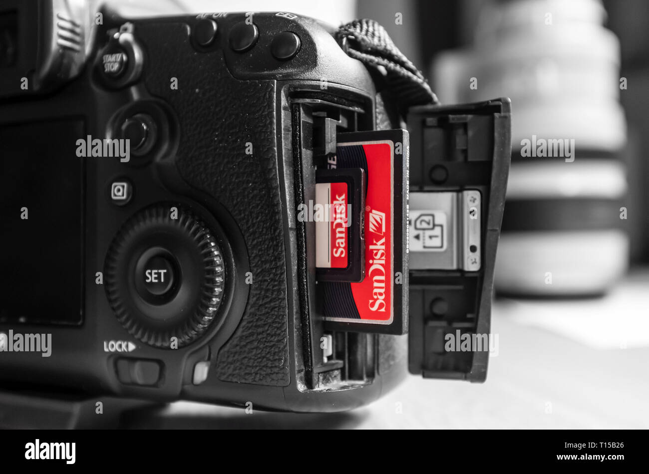 UK - Février 08, 2019. SD et Compact Flash Sandisk cartes mémoire CF dans une fente de l'appareil photo Canon. Sandisk est la marque leader de cartes mémoire Banque D'Images
