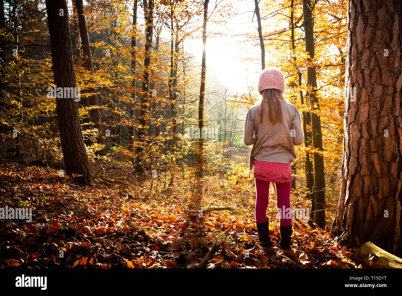 Jeune fille seule dans forêt d'automne, vue arrière Banque D'Images