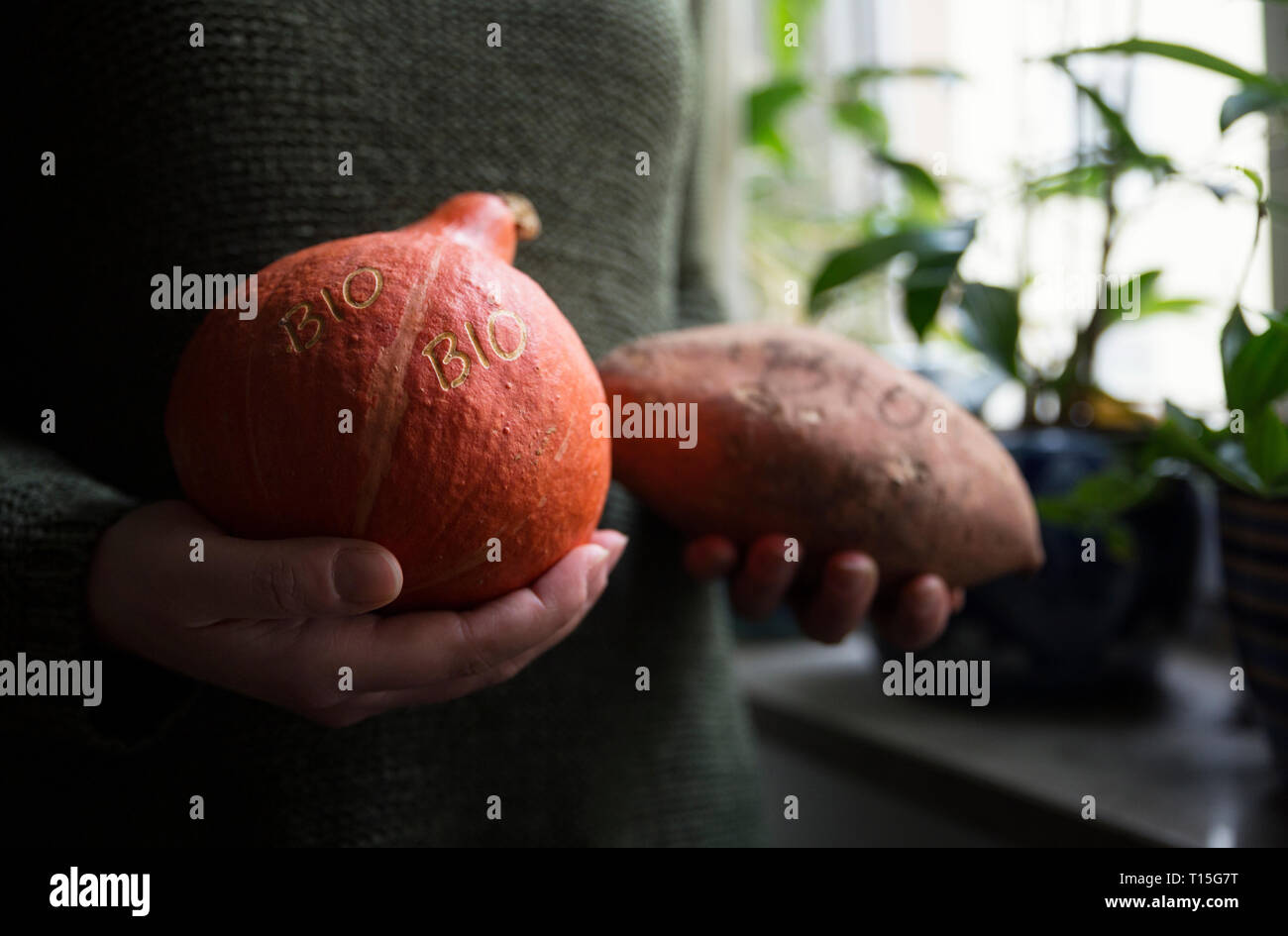 Woman's hands holding organic Hokkaido la citrouille et la pomme de terre douce avec la marque Smart Banque D'Images