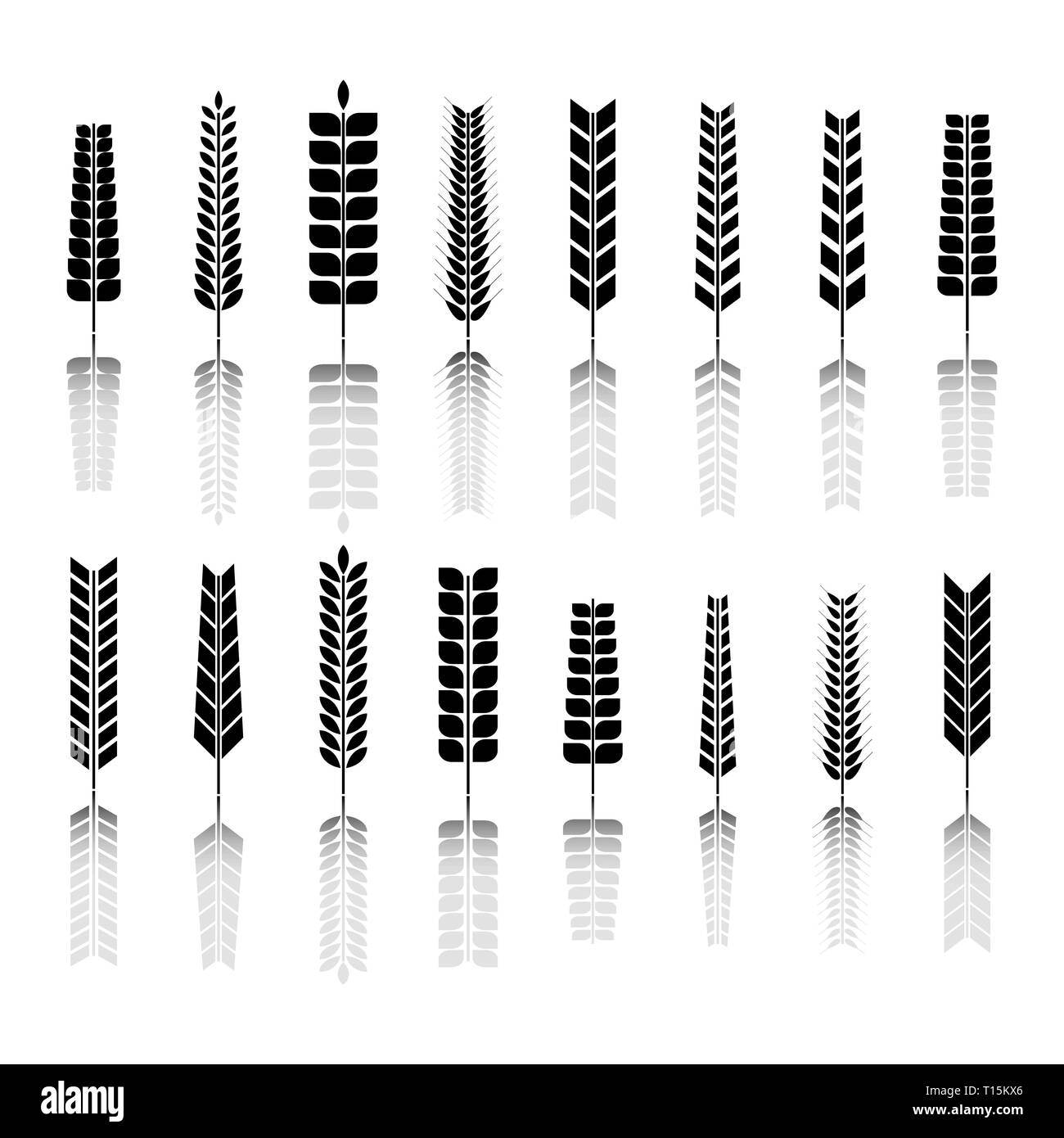 Ensemble d'épillets divers de blé. Silhouettes noires sur fond blanc, vector illustration. Illustration de Vecteur