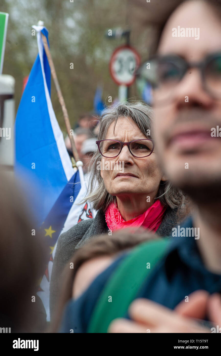 Londres, Royaume-Uni. 23 Mar 2019. Les manifestants se rassemblent autour de Park Lane avant la marche Credit : Oliver Monk/Alamy Live News Banque D'Images