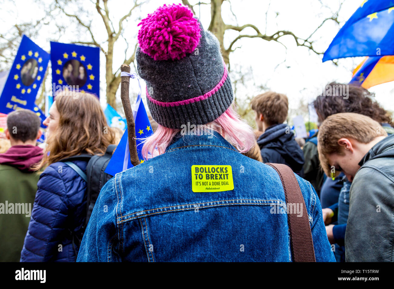 Londres, Royaume-Uni. 23 Mar 2019. Plus d'un million de personnes mars pour le vote du peuple, à un second référendum sur Brexit Crédit : Nathaniel Noir/Alamy Live News Banque D'Images