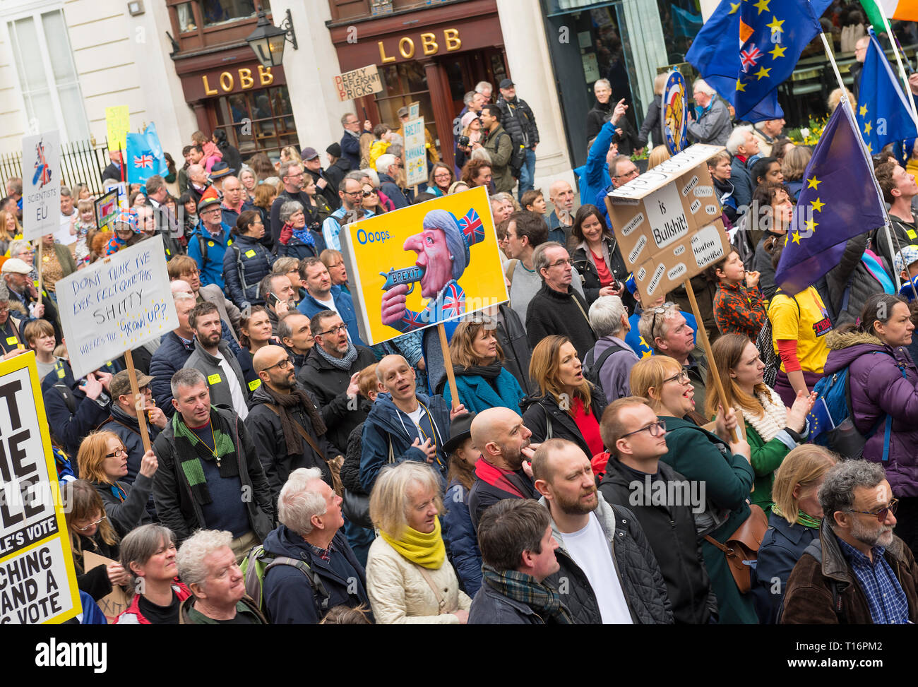 Peuples autochtones Mars pour un vote sur Brexit, Samedi 23 Mars 2019 Banque D'Images