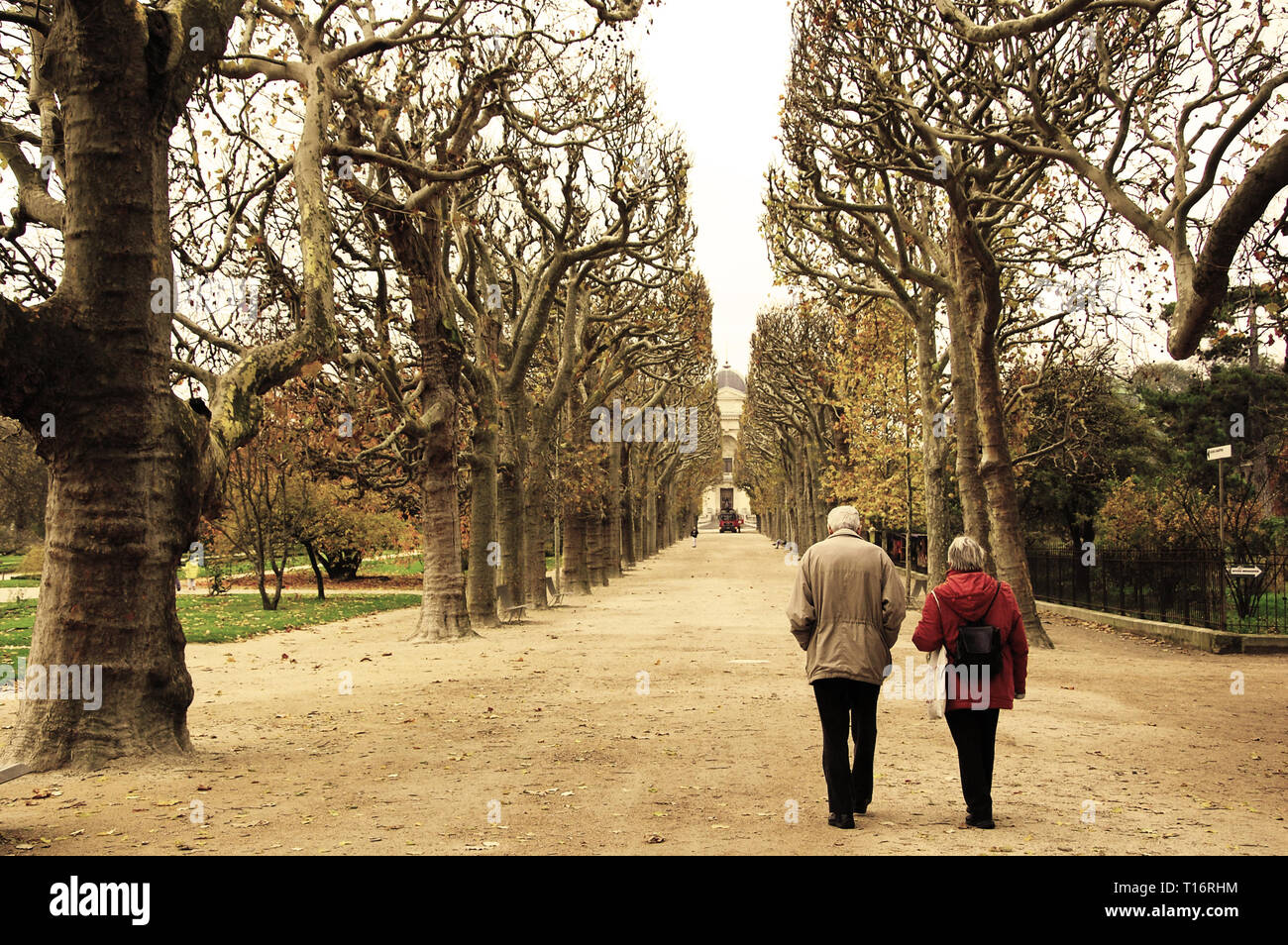 Un couple de personnes âgées à marcher le long du parc à Paris, demande sur une allée entre les hauts arbres (SEPIA) Banque D'Images