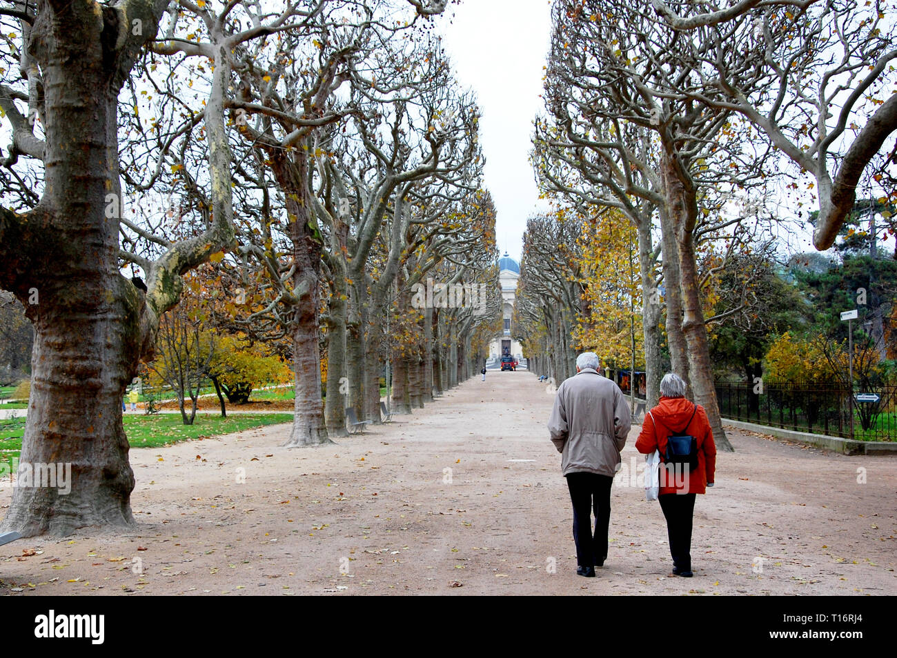 Un couple de personnes âgées à marcher le long du parc à Paris, demande sur une allée entre les hauts arbres Banque D'Images