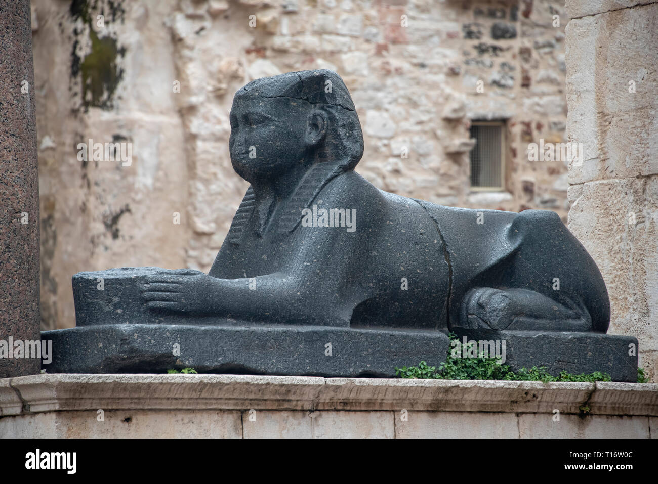 La Croatie, Split - Juin 2018 : Sphinx égyptien ancien dans le carré de l'Dioclétien à Split. Le Sphinx a été endommagé au cours de travaux de rénovation. Banque D'Images