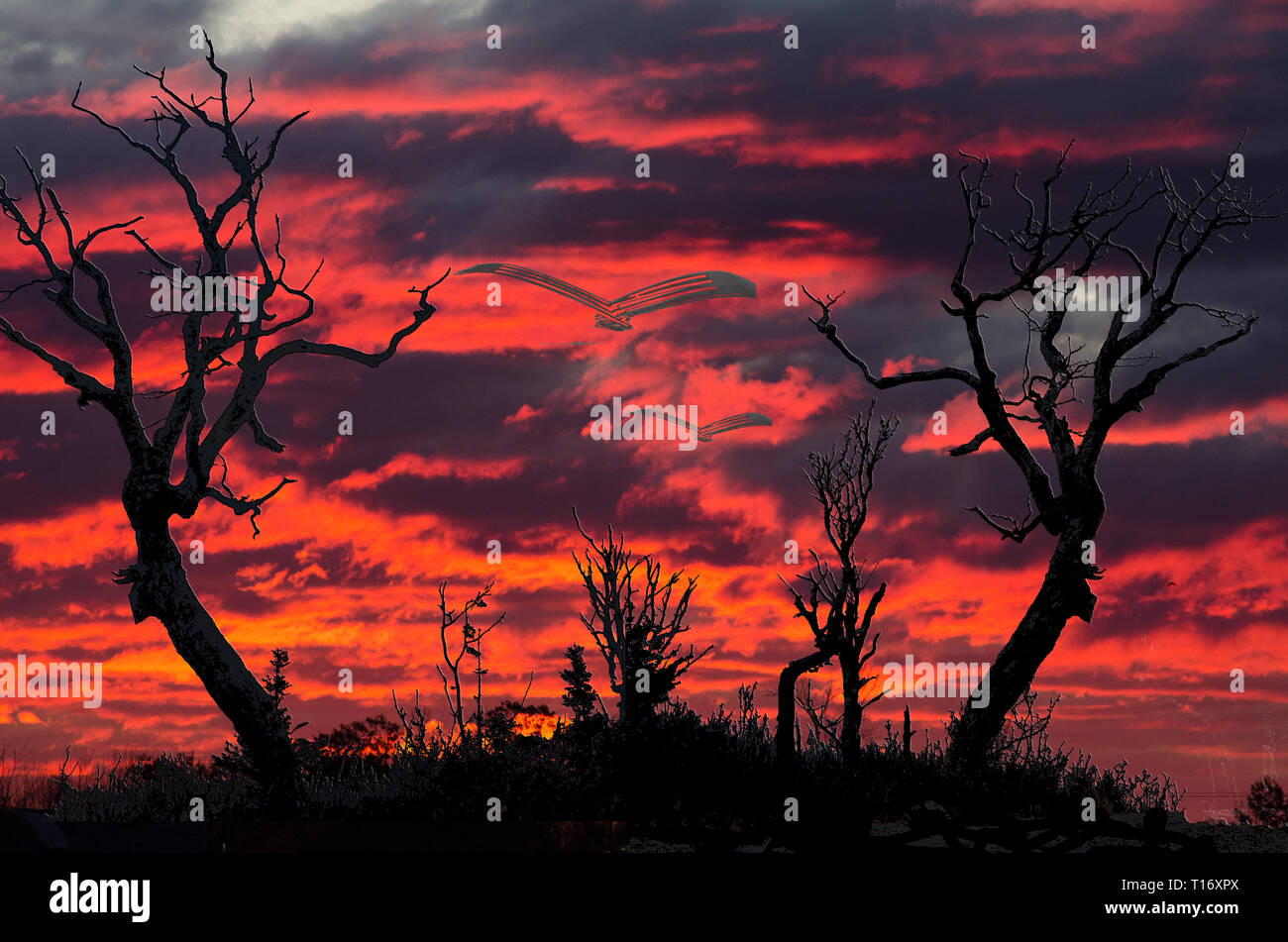 Scène de la colline effrayant avec la danse des arbres et d'oiseaux bizarres entre eux dans un ciel rouge sang, au crépuscule dans une colline. Banque D'Images