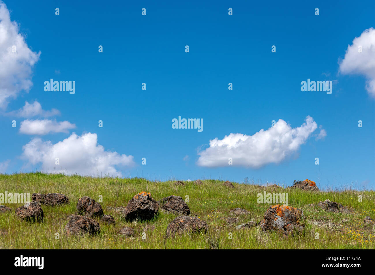 Colline verte de rochers couverts de lichen orange et rouge Banque D'Images