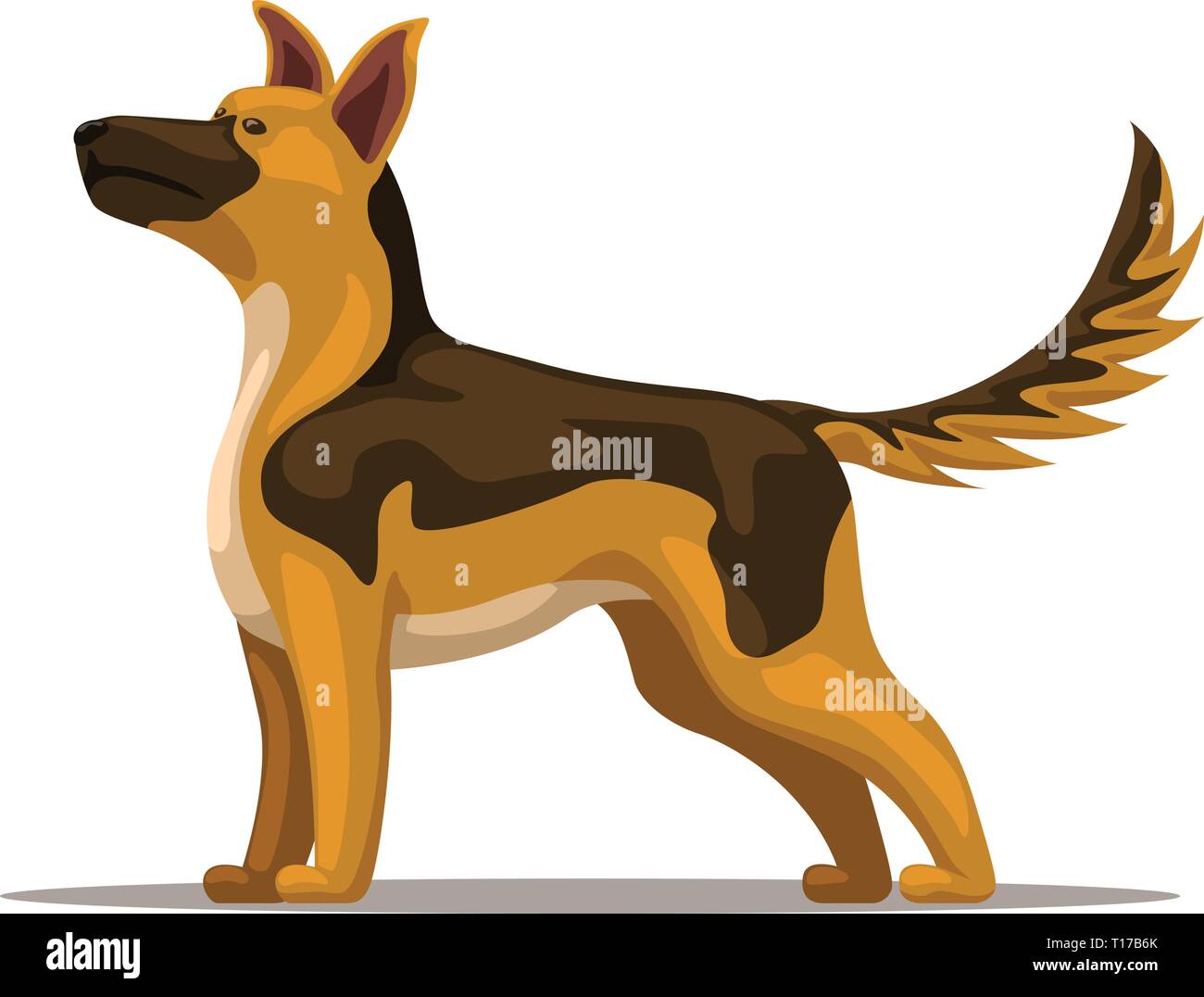 Dessin Animé Chien Berger Vecteurs Et Illustration Image