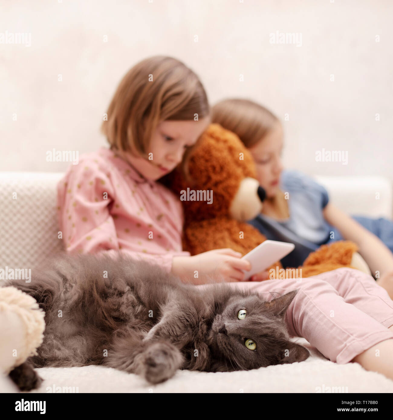 Deux petites filles (sœurs 7 et 8 ans) sont à regarder un e-livre et un smartphone à la maison sur le canapé avec leur chat. Focus sélectif. Banque D'Images