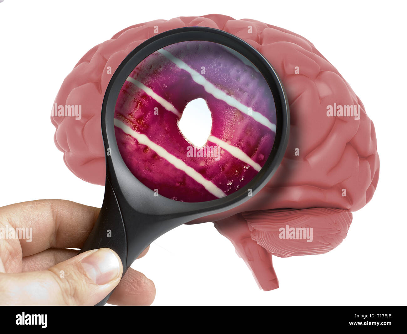 Cerveau humain analysé avec loupe à l'intérieur doux beignet toxicomanie isolated on white Banque D'Images
