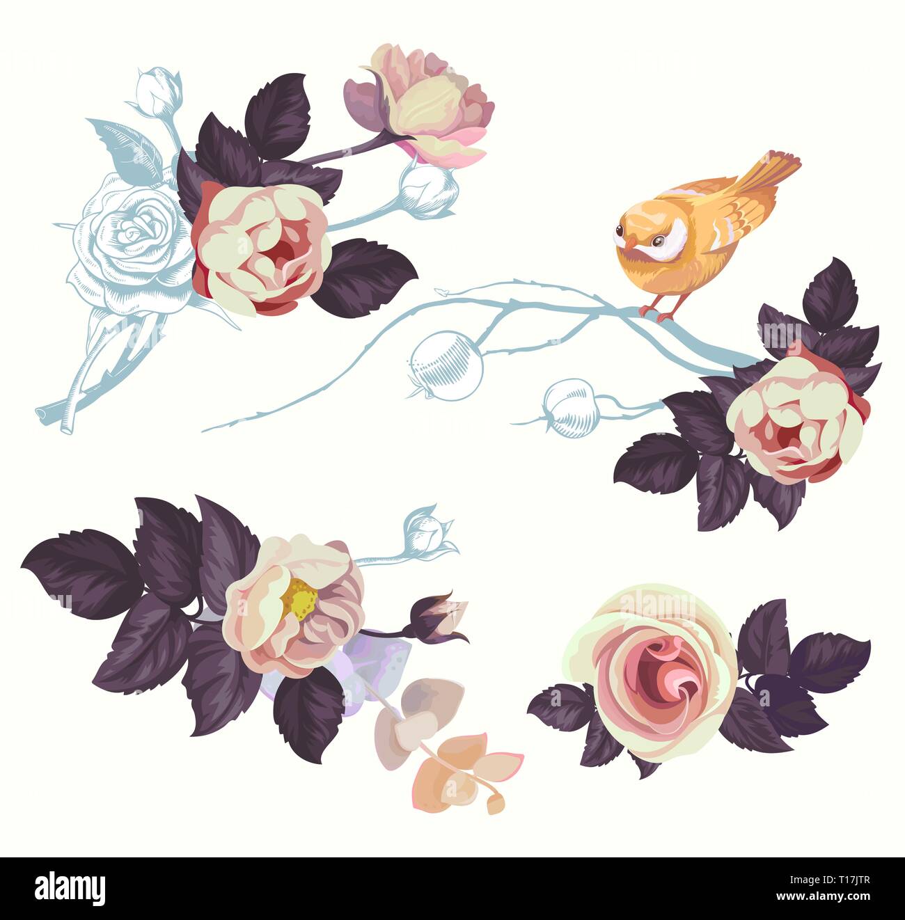 Au printemps Fleur Branche Décoration Aquarelle Kit. Résumé de l'été fleurs bouquet de rose avec Rossignol. Rameau en fleurs fond mariage romantique Illustration de Vecteur