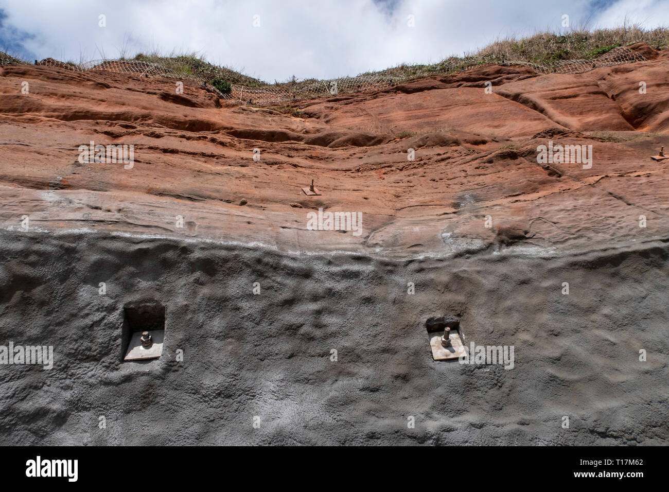 Vis de fixation dans une falaise de grès rouge à Sidmouth, Devon. Banque D'Images