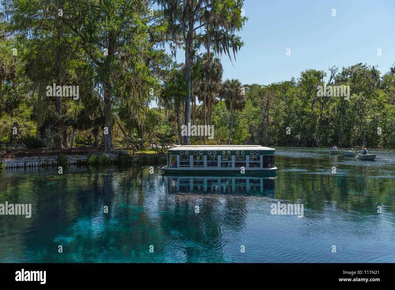 Silver Springs Florida bateaux à fond de verre Banque D'Images