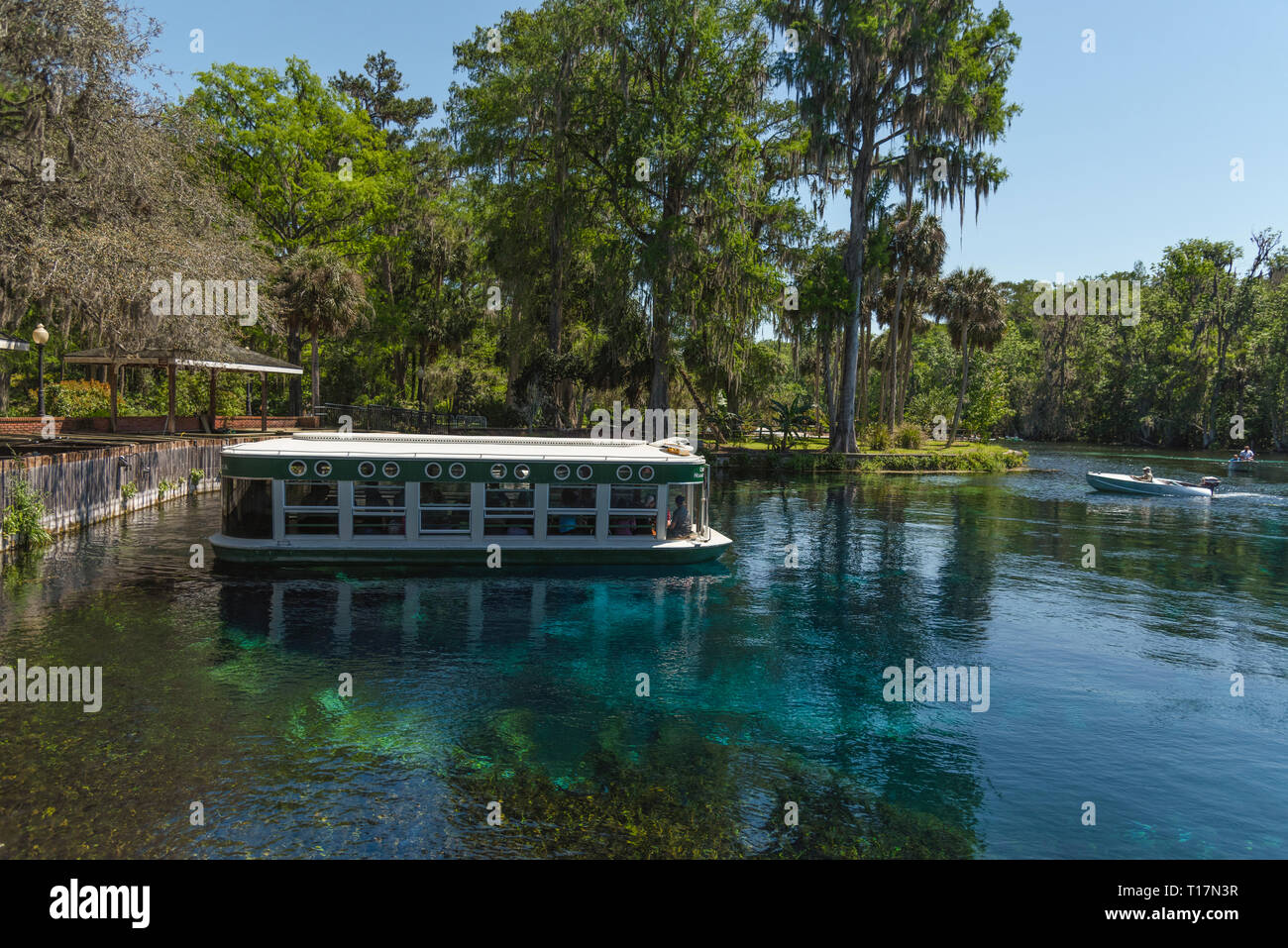 Silver Springs Florida bateaux à fond de verre Banque D'Images