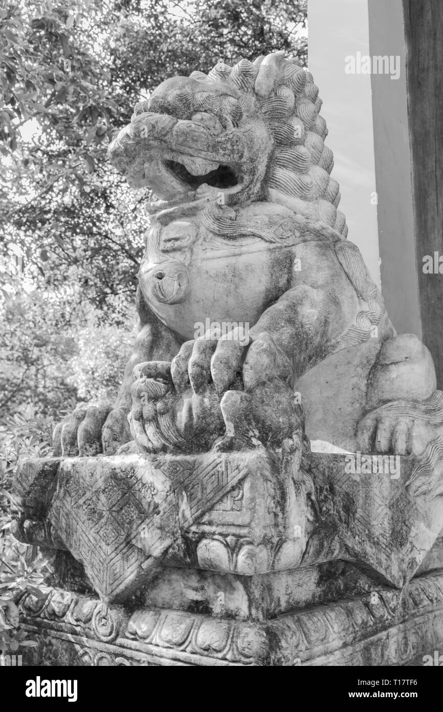 Hangzhou, Zhejiang, Chine - le 16 décembre 2018 : Lion statue en face de Temple Lingyin à Hangzhou, Chine (Temple de la retraite de l'âme) L'un des la Banque D'Images