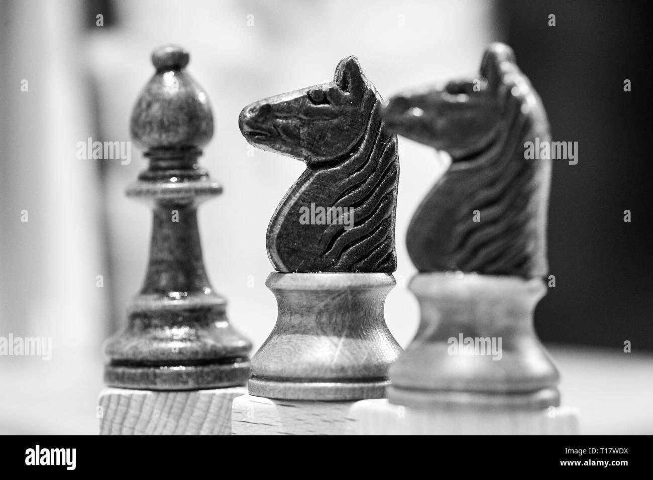 Deux chevaux et un pion chess piece Banque D'Images