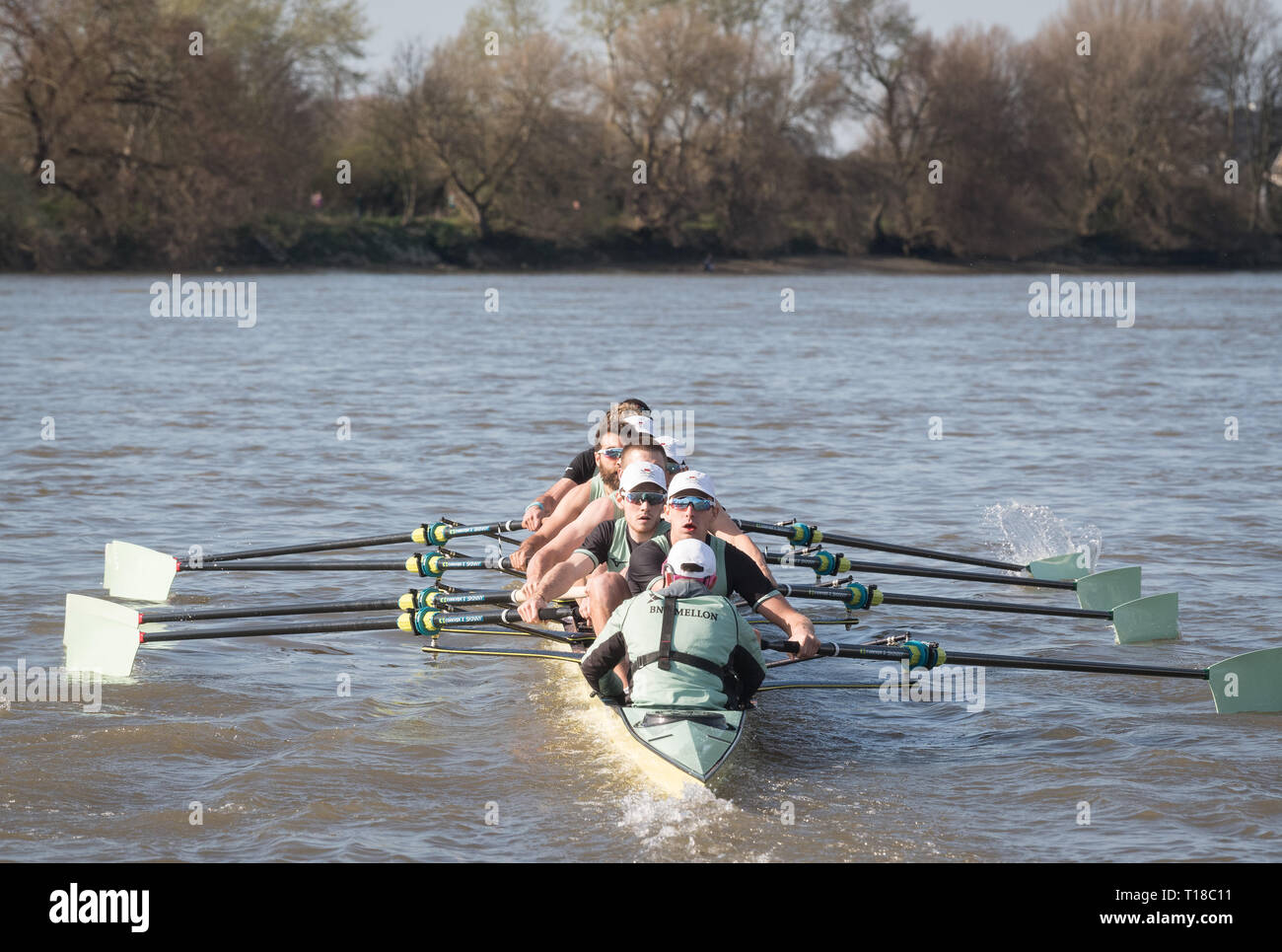 Londres, Royaume-Uni. 24Th Mar, 2019. 24 mars 2019. Boat Race. CUBC contre Oxford Brookes. En tant que préparation aux courses de bateaux, l'Oxford et Cambridge clubs participent à un certain nombre de matchs contre d'autres clubs, l'aviron même Tideway cours comme utilisé pour la course de bateau. Liste d'équipage CUBC (chemises bleu clair) :- CP : Natan Wegrzycki-Szymczyk, 7 : Freddie Davidson, 6 : Sam 5 : Callum Hookway, Sullivan, 4 : Dara Alizadeh, 3 : Grant, Mme Bitler 2 : James Cracknell, Bow : Dave Bell, Cox : Matthew Holland Credit : Duncan Grove/Alamy Live News Banque D'Images