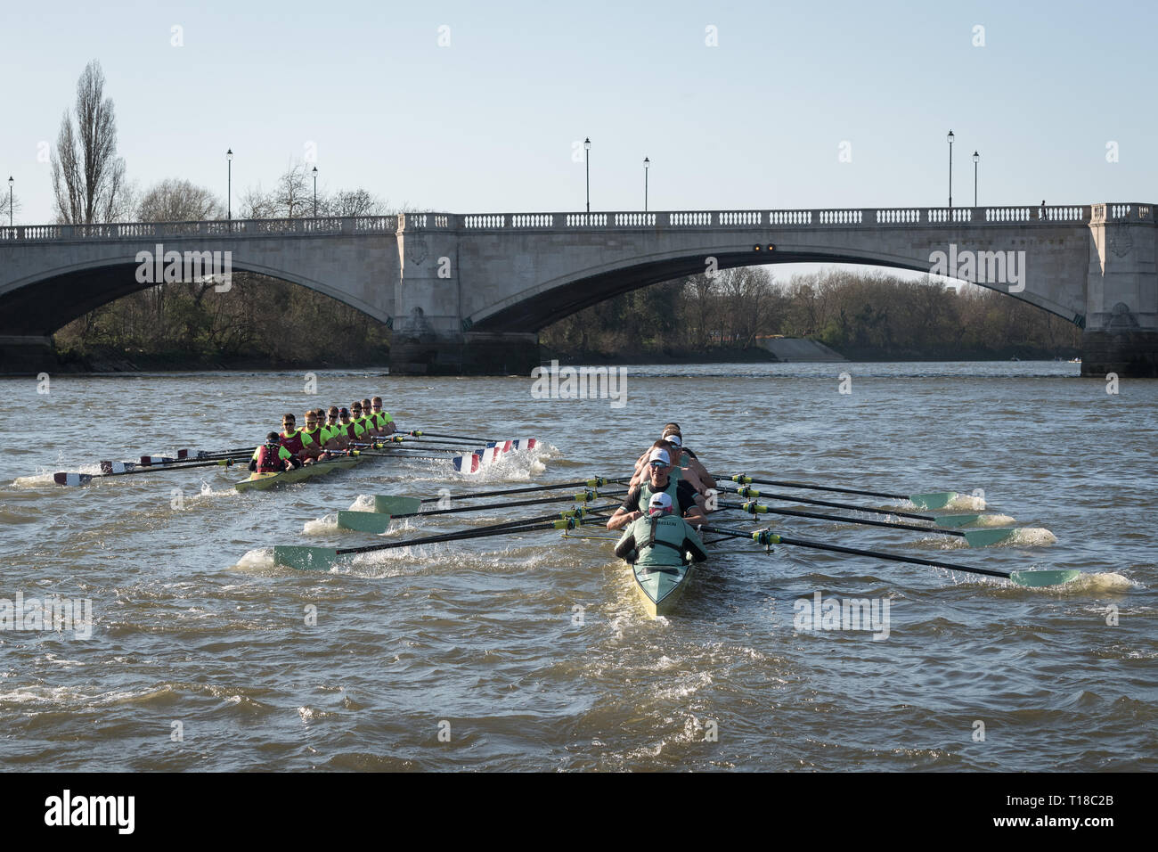 Londres, Royaume-Uni. 24Th Mar, 2019. 24 mars 2019. Boat Race. CUBC contre Oxford Brookes. En tant que préparation aux courses de bateaux, l'Oxford et Cambridge clubs participent à un certain nombre de matchs contre d'autres clubs, l'aviron même Tideway cours comme utilisé pour la course de bateau. Liste d'équipage CUBC (chemises bleu clair) :- CP : Natan Wegrzycki-Szymczyk, 7 : Freddie Davidson, 6 : Sam 5 : Callum Hookway, Sullivan, 4 : Dara Alizadeh, 3 : Grant, Mme Bitler 2 : James Cracknell, Bow : Dave Bell, Cox : Matthew Holland Credit : Duncan Grove/Alamy Live News Banque D'Images