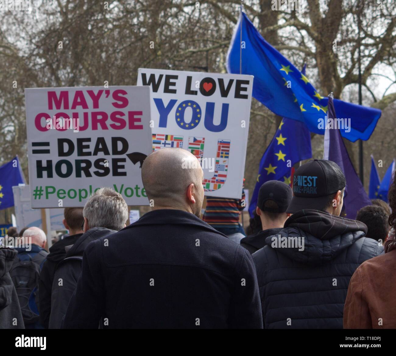 Les bannières en mars contre Brexit Banque D'Images