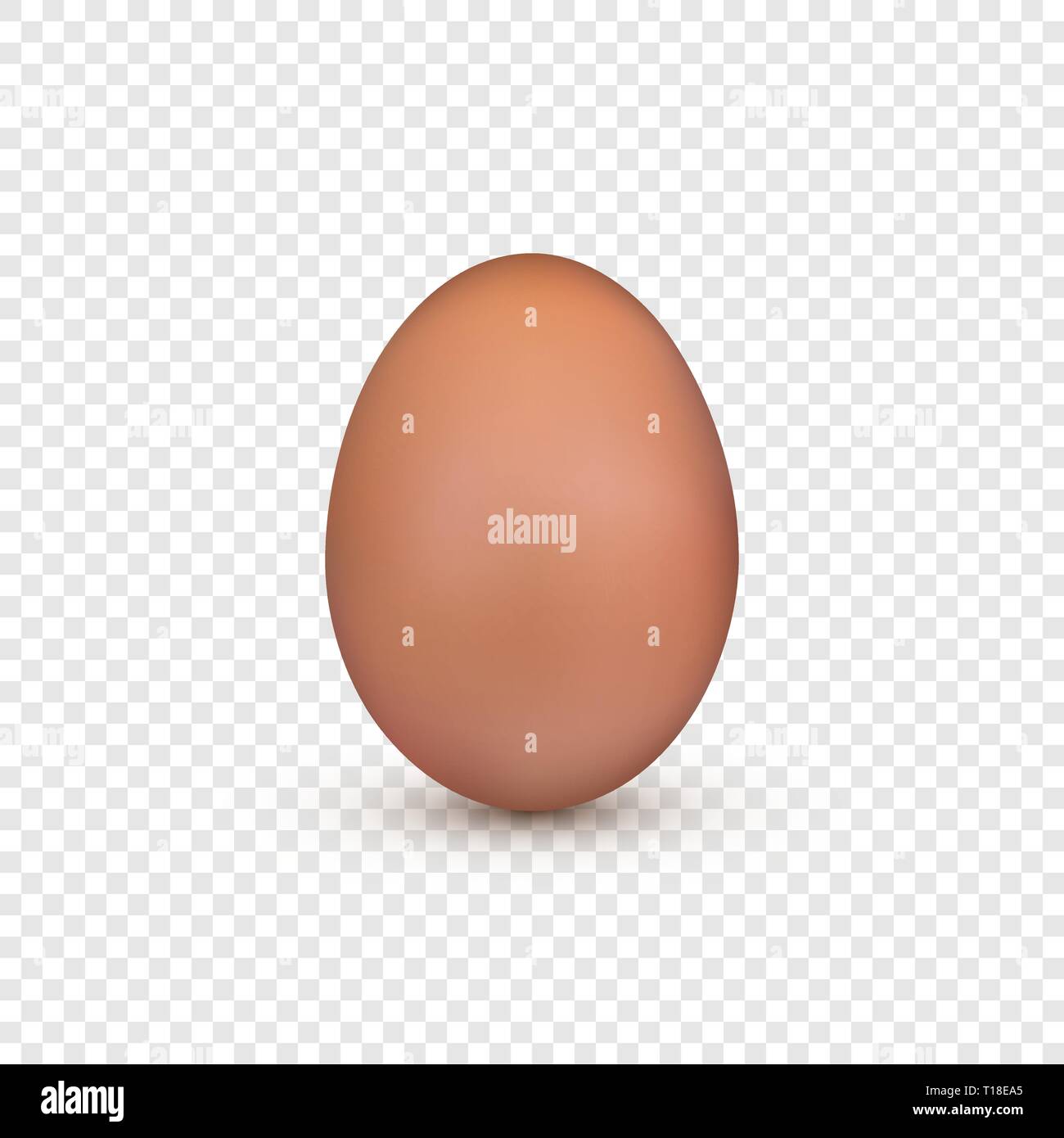 Brown egg. Symbole de Pâques oeuf de poule. Vector illustration isolé sur fond transparent Illustration de Vecteur