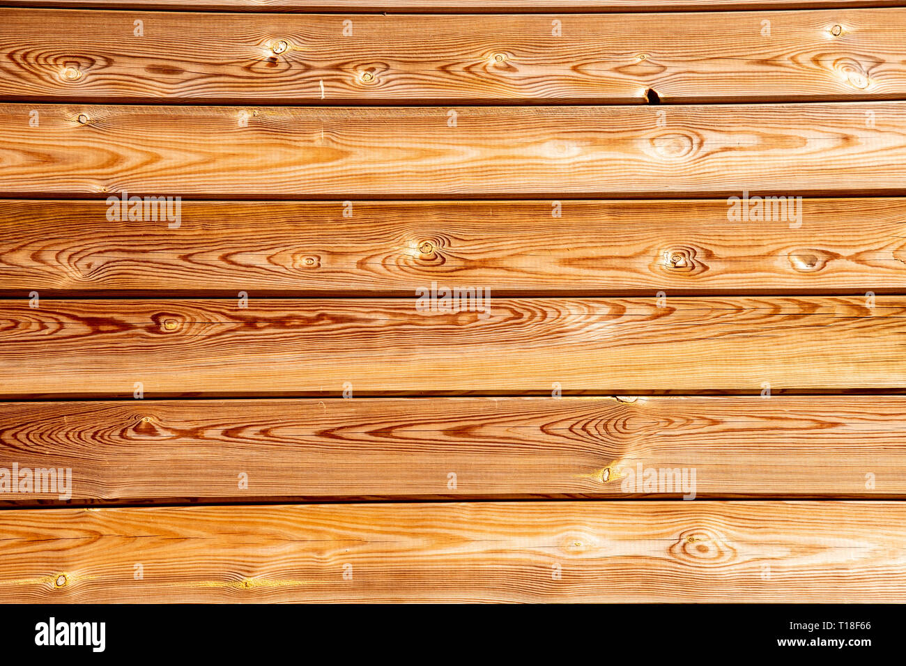 Fait de lumière de fond bois chêne jaunâtre Banque D'Images