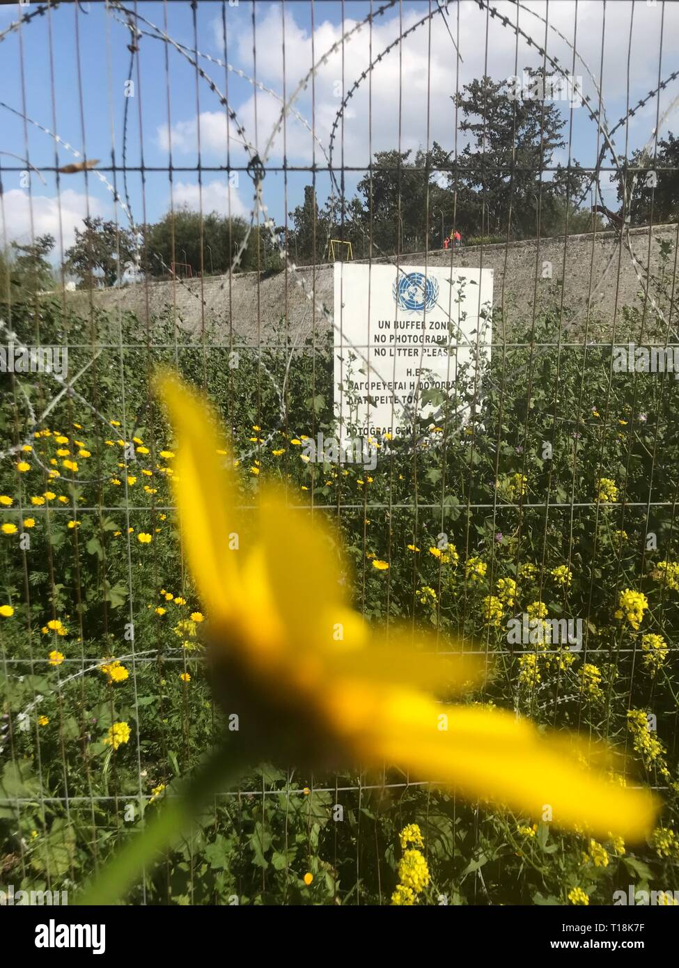 Nicosia est habitée depuis plus de 4500 ans et est la capitale de Chypre depuis le 10e siècle. Le pays divisé après la guerre de 1974. Banque D'Images